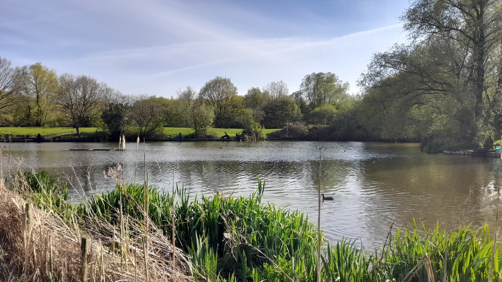 Lakeside 