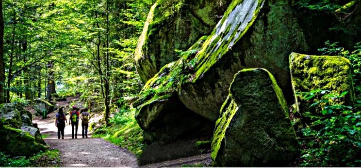 Black Forrest Natue walk