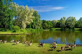 Riverside parkland
