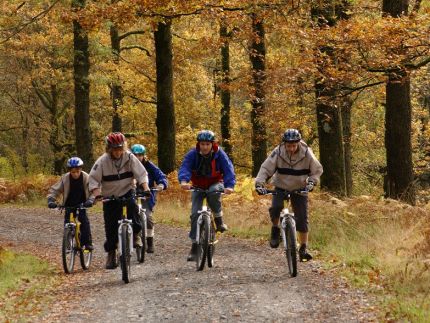 forrest bike ride