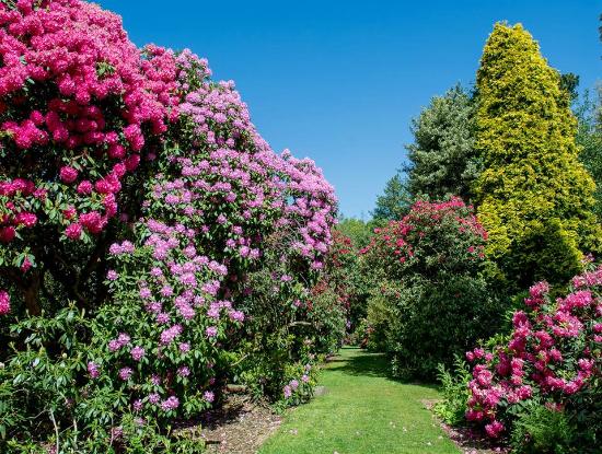 wentworth-castle-gardens