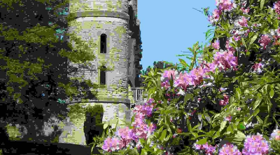 wentworth-castle-gardens1